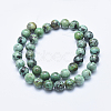 Natural African Turquoise(Jasper) Beads Strands G-E444-47-10mm-2