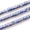 Natural Blue Spot Jasper Beads Strands G-F631-K06-1