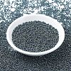 MIYUKI Round Rocailles Beads X-SEED-G007-RR0456-2