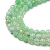 Natural Chrysoprase Beads Strands G-A097-A16-03-4