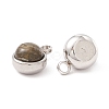 Natural Labradorite Charms G-K325-01P-04-3