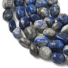 Natural Lapis Lazuli Beads Strands G-C286-A06-3