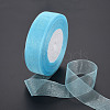 Sheer Organza Ribbon RS25mmY062-3