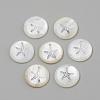 Freshwater Shell Pendants SHEL-Q010-P-2