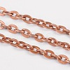 Iron Cable Chains CH-0.7PYSZ-R-1