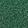 MIYUKI Round Rocailles Beads SEED-X0054-RR0173-2