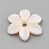 Natural Freshwater Shell Beads SHEL-S269-32-2