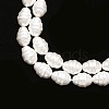 Shell Pearl Beads Strands PEAR-T005-02-3