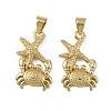 Brass Pendants KK-I358-057G-01-1