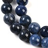 Natural Dumortierite Beads Strands G-G167-A06-10MM-4