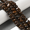 Natural Tiger Iron Beads Strands G-B078-D06-03-2