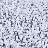 FGB 11/0 Grade A Glass Seed Beads SEED-S030-1141-2
