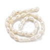 Natural Keshi Pearl Cultured Freshwater Pearl Beads Strands PEAR-P062-19-3