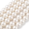 Shell Pearl Bead Strands BSHE-L026-03-8mm-2