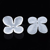 Transparent Acrylic Beads FACR-N005-003-3