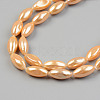 Electroplate Natural Freshwater Shell Beads Strands SHEL-T017-13B-3