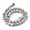 Natural Labradorite Beads Strands X-G-G212-8mm-23-11