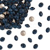 Preciosa® MAXIMA Crystal Round Stones Y-PRC-RBSS24-30340-1