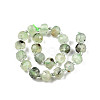 Natural Prehnite Beads Strands G-N327-08H-2