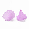 Transparent Acrylic Beads X-BSF796-C08-2