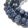 Natural Blue Spot Jasper Beads Strands G-G142-A13-01-4