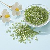 6/0 Glass Seed Beads SEED-YW0001-25H-5