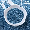 MIYUKI Delica Beads Small X-SEED-J020-DBS0149-2