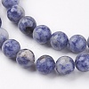 Natural Blue Spot Jasper Bead Strands X-G-R193-15-8mm-3