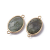 Golden Tone Brass Natural Labradorite Links connectors G-F339-A15-2