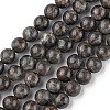 Natural Labradorite Beads Strands G-G0003-C03-10mm-1
