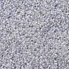MIYUKI Round Rocailles Beads X-SEED-G007-RR0001-2