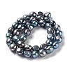 Natural Cultured Freshwater Pearl Beads Strands PEAR-Z002-24-2