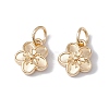 Rack Plating Alloy Charms LS-FIND-G036-02LG-1