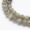 Natural Labradorite Beads Strands G-P322-33-8mm-3