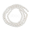 Electroplated Shell Pearl Beads Strands BSHE-Z009-10B-3