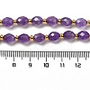 Natural Amethyst Beads Strands G-H297-C09-01-4