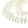 Electroplate Glass Beads Strands GLAA-K061-04A-FR01-3