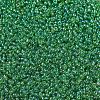 MIYUKI Round Rocailles Beads X-SEED-G007-RR0179L-3