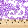 Electroplate Transparent Glass Seed Beads SEED-S042-16A-03-4
