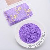 6/0 Glass Seed Beads SEED-T005-14-B04-2