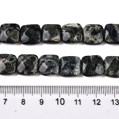 Natural Kambaba Jasper Beads Strands G-T138-171-1