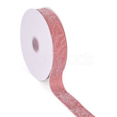 10 Yards Polyester Velvet Ribbon OCOR-TA0004-13A-1