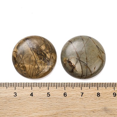 Natural Picasso Jasper Cabochons G-B085-02A-09-1