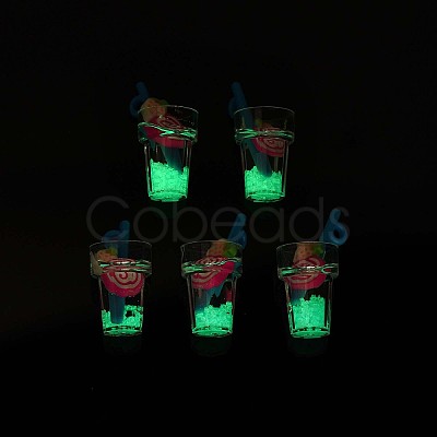 Imitation Fruit Tea Resin Pendants CRES-S359-31-1