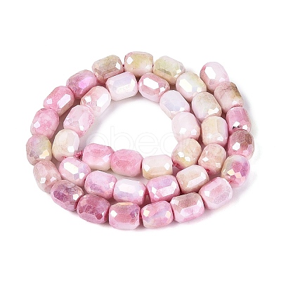 Anti-Tarnish Electroplate Glass Beads Strands EGLA-N027-03A-06-1