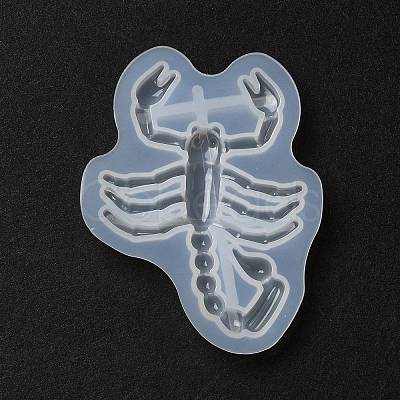 DIY Display Silicone Molds DIY-P074-07C-1