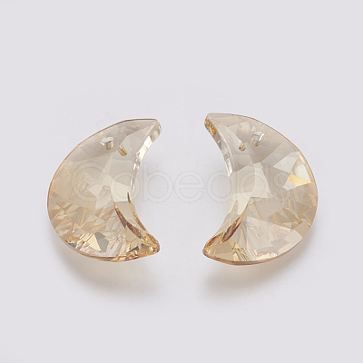 K9 Glass Rhinestone Pendants GLAA-K034-G01-1
