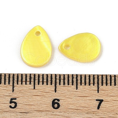 Spray Painted Natural Freshwater Shell Teardrop Charms SHEL-K006-47C-1