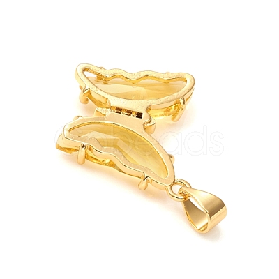Glass Pendants GLAA-G075-01G-09-1