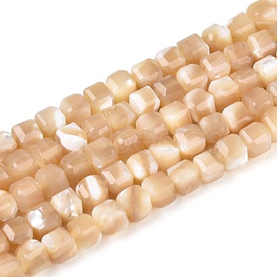 Natural Trochid Shell/Trochus Shell Beads Strands BSHE-T014-52B-01-1